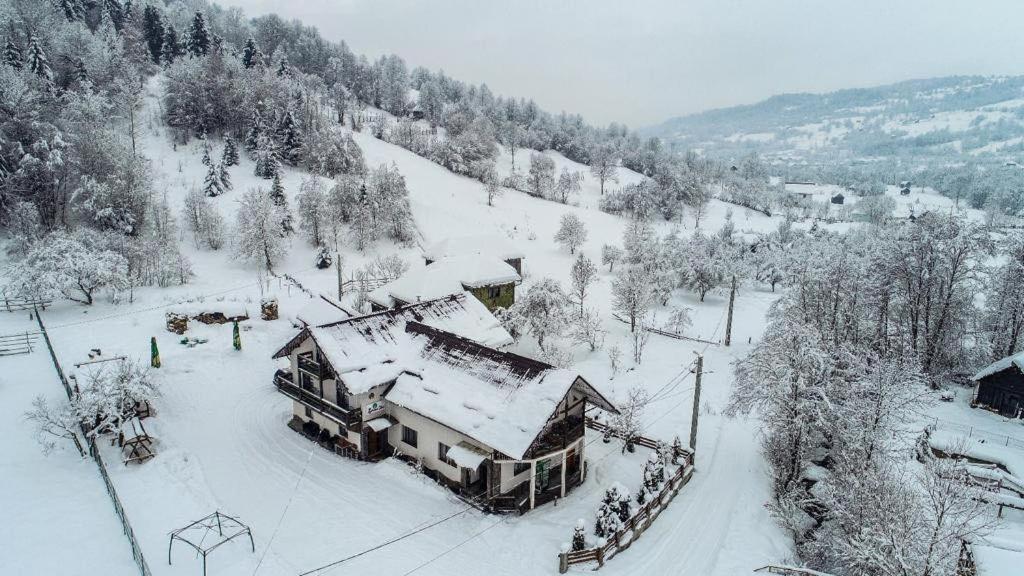 Vila Lacrima Izei Săcel Exteriér fotografie
