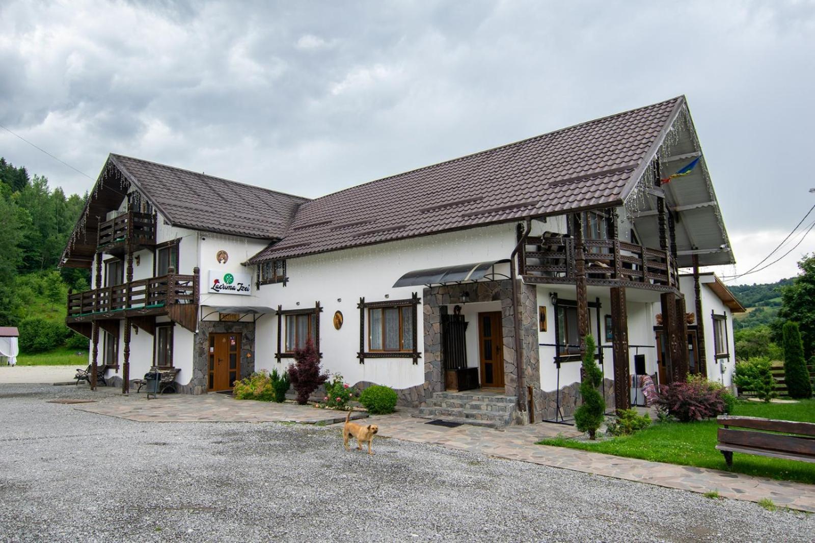 Vila Lacrima Izei Săcel Exteriér fotografie