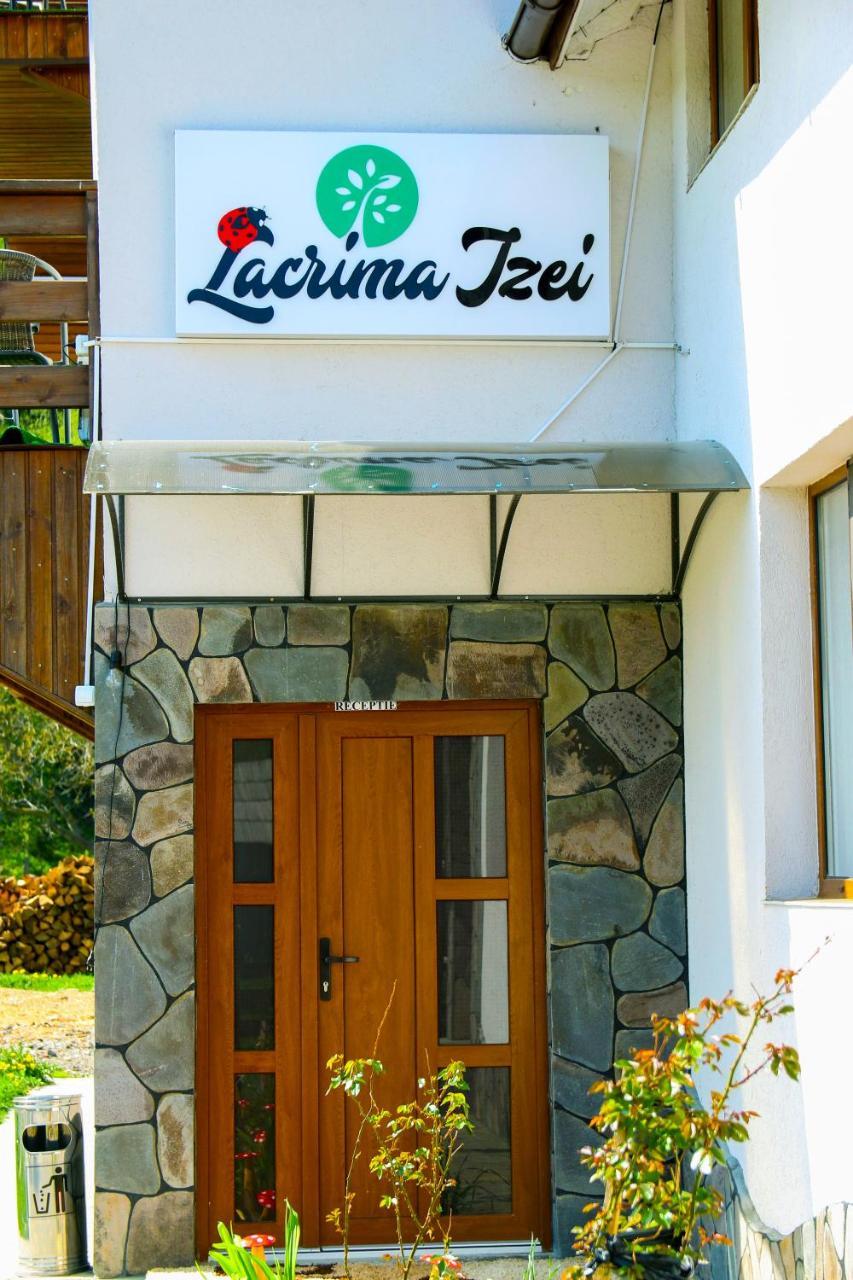 Vila Lacrima Izei Săcel Exteriér fotografie